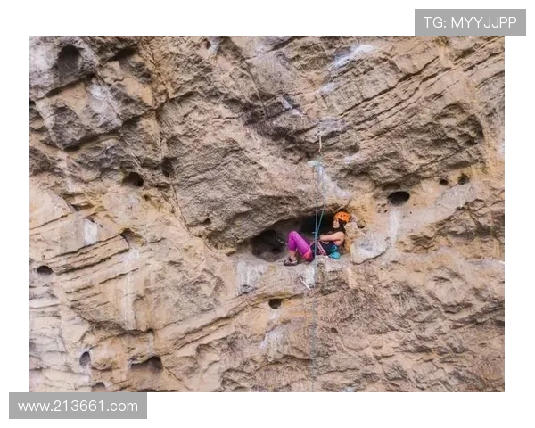 南京攀岩队的团队协作揭秘：攀岩巨献背后的默契与奋斗