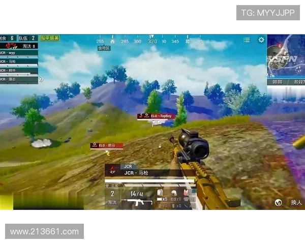 和平精英评论：RNG在盯防战术中的得失分析与反思