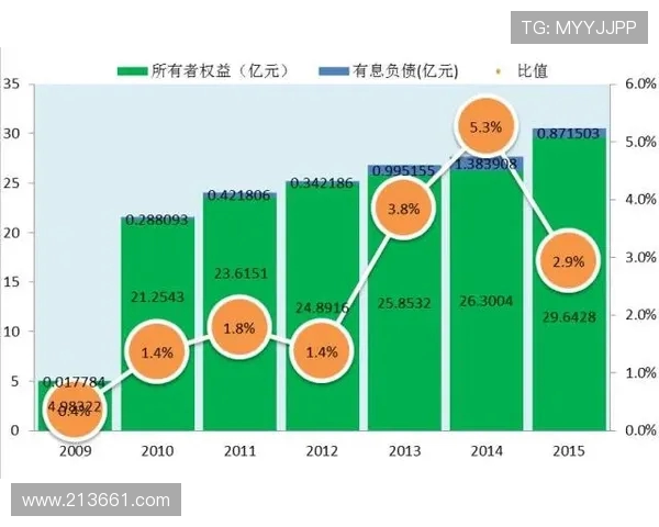 广州飞盘队阵地战解析：战术运用与团队协作的深度剖析