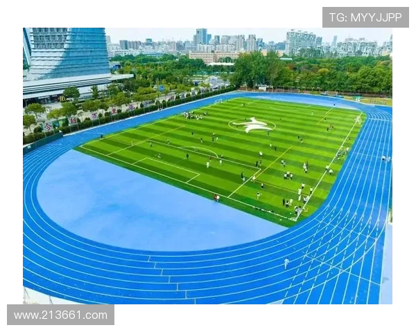 杭州羽毛球队防反战术创新探索与实践分析